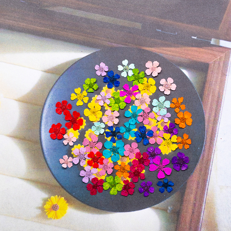 Resin Art For Photo Frame - 96Pcs Mini 1.5cm Natural Pressed Flowers