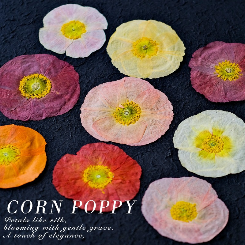 1pcs,Nature Field Poppy Presse - Resin Art For Photo Frame avaliação e preço