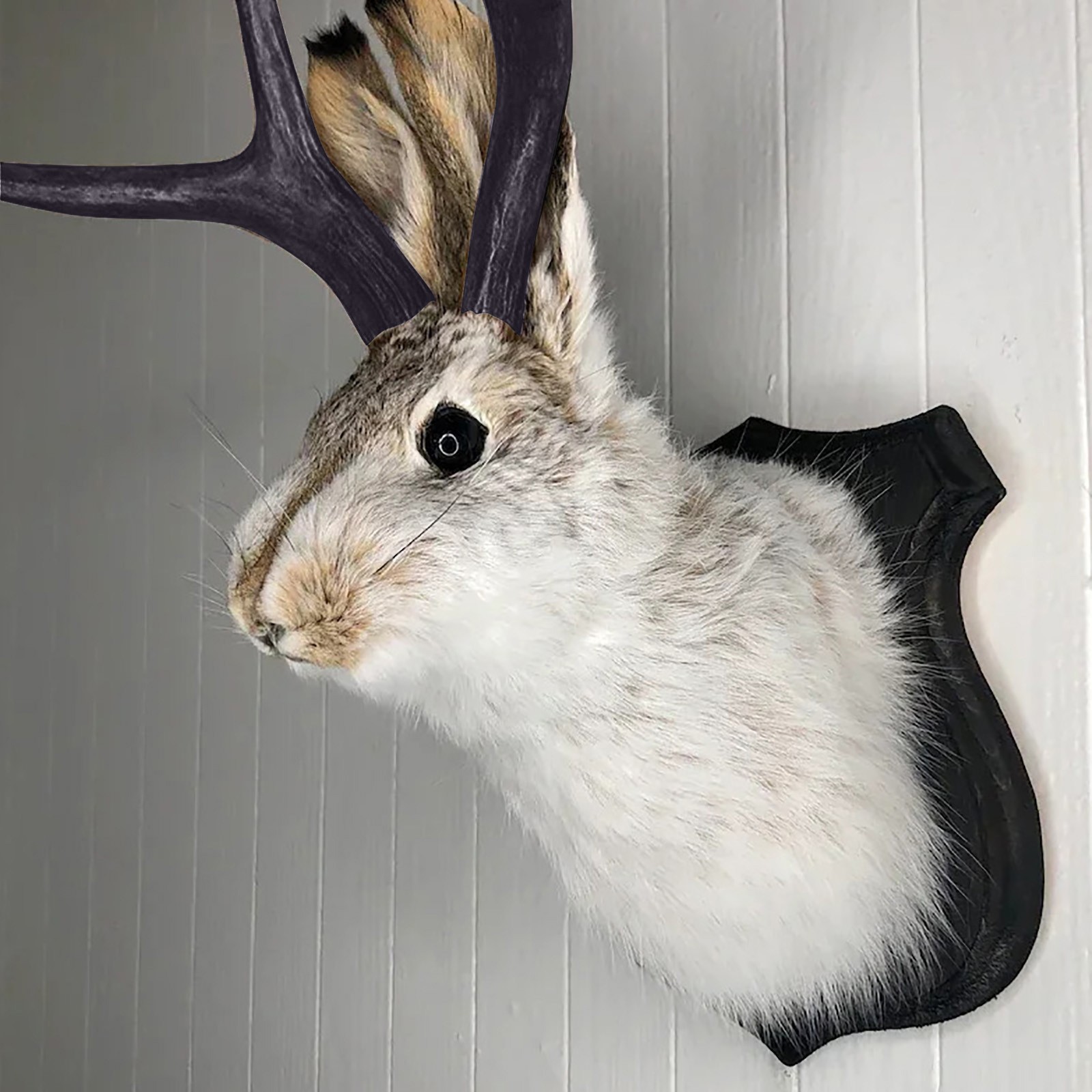 Easter Gift Bunny Head Antlers - Resin Art Hanging avaliação e preço