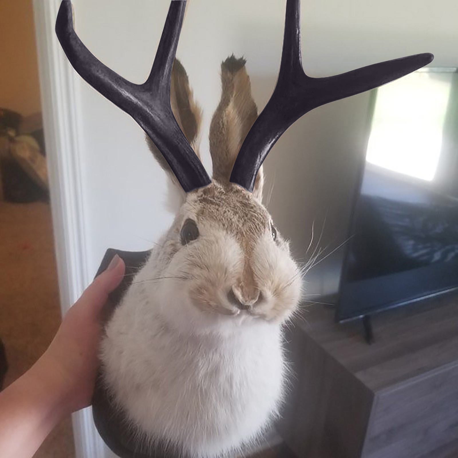 Easter Gift Bunny Head Antlers - Resin Art Hanging avaliação e preço