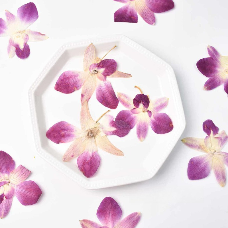 4pcs,Real Pressed Butterfly Or - Resin Art For Photo Frame avaliação e preço