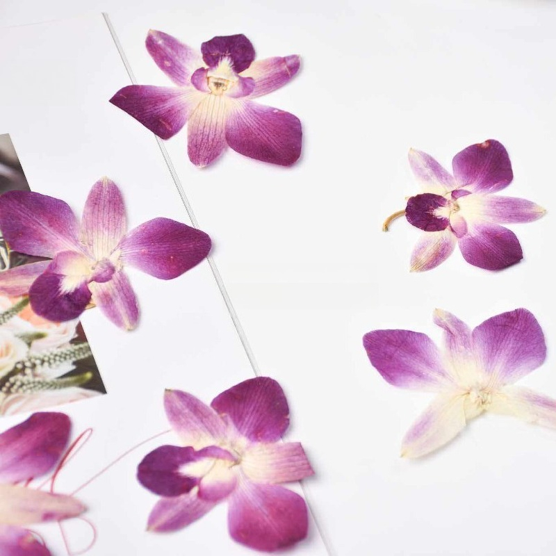 4pcs,Real Pressed Butterfly Or - Resin Art For Photo Frame avaliação e preço