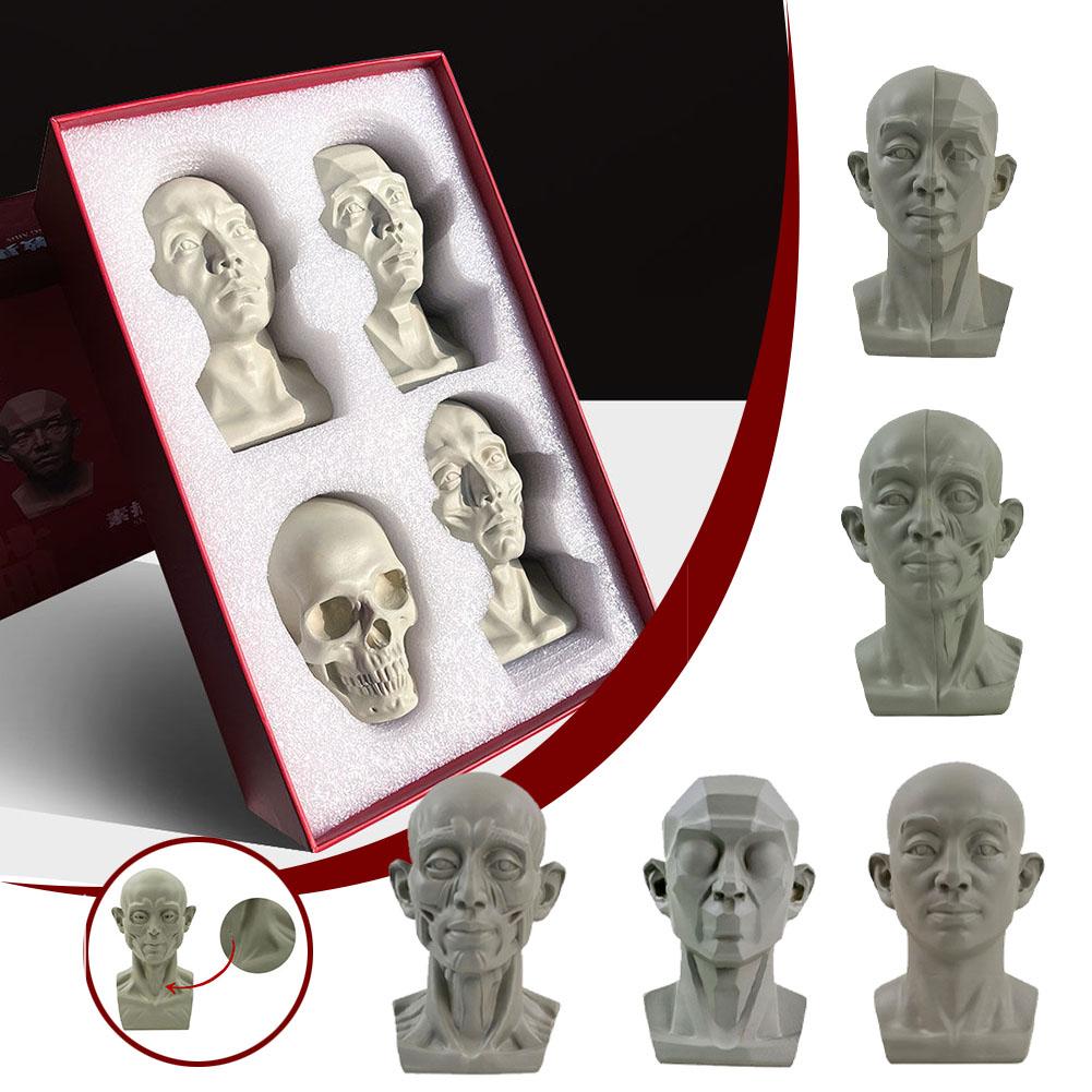 Art Plaster Portrait Teaching  - Resin Art Learning avaliação e preço