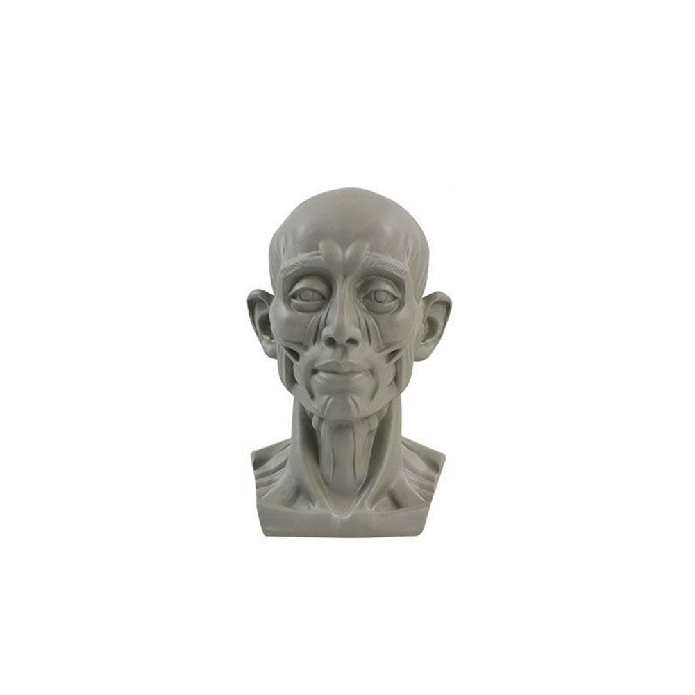 Art Plaster Portrait Teaching  - Resin Art Learning avaliação e preço