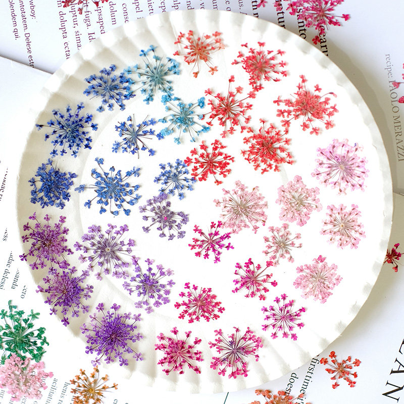 24pcs,2-2.5cm,nature Dyed Mini - Resin Art For Photo Frame avaliação e preço