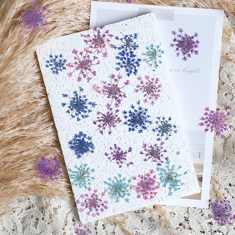 24pcs,2-2.5cm,nature Dyed Mini - Resin Art For Photo Frame avaliação e preço