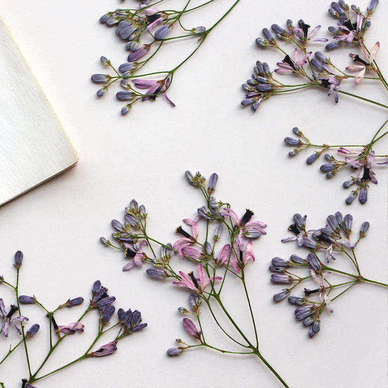 60Pcs Neem Tree Flower Branche - Resin Art For Photo Frame avaliação e preço